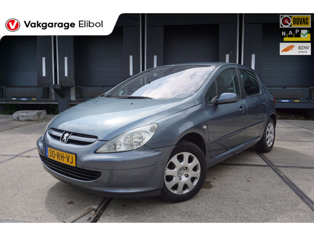 Peugeot 307 1.6-16V XS | Vakgarage