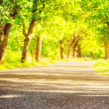 Zomerbanden_2560x900