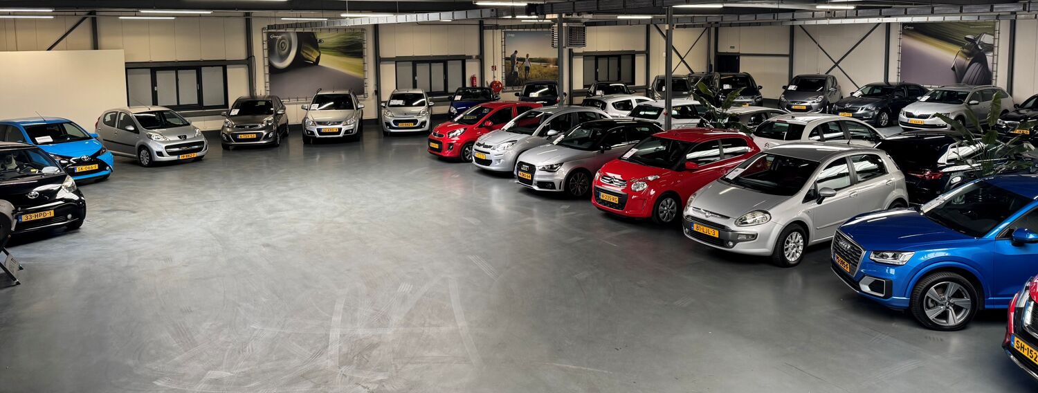 Showroom breed
