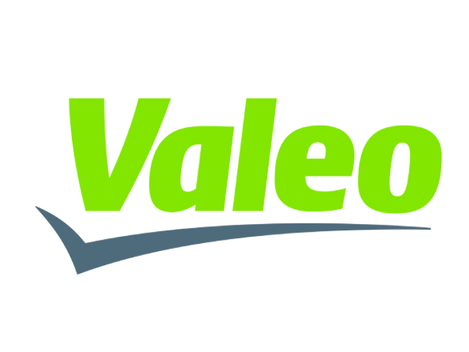 Valeologo