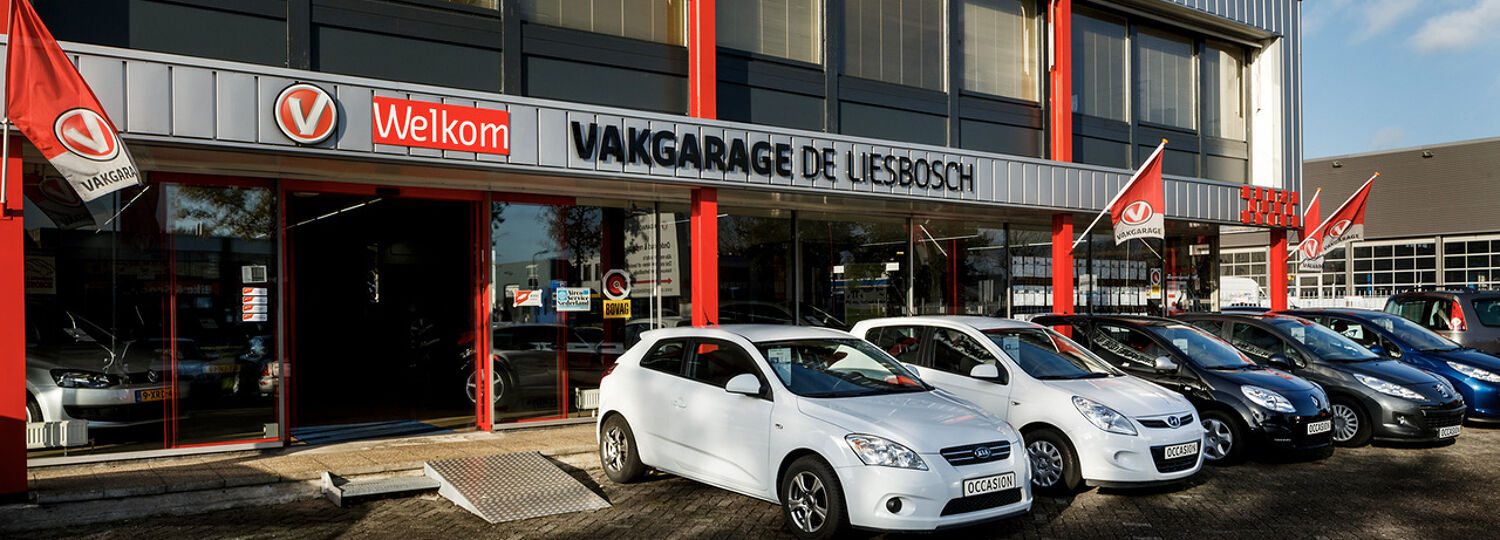 VG De Liesbosch_Vervangend Vervoer_Content