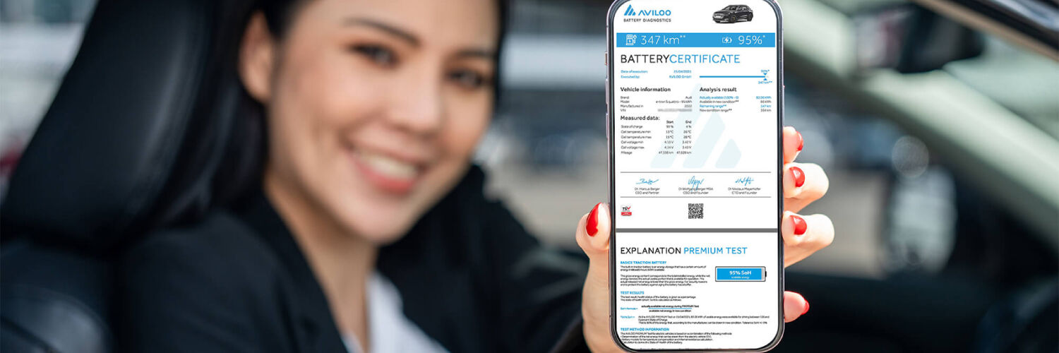 VG_vannieuwenhoven_custom