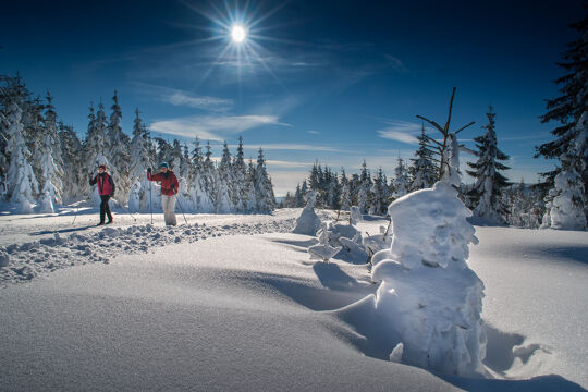 Verrassend Tsjechië