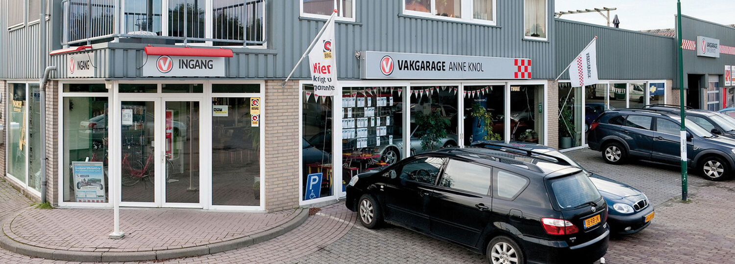 Vakgarage Anne knol dienst diagnose service