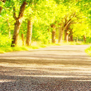 Zomerbanden_3840x1100