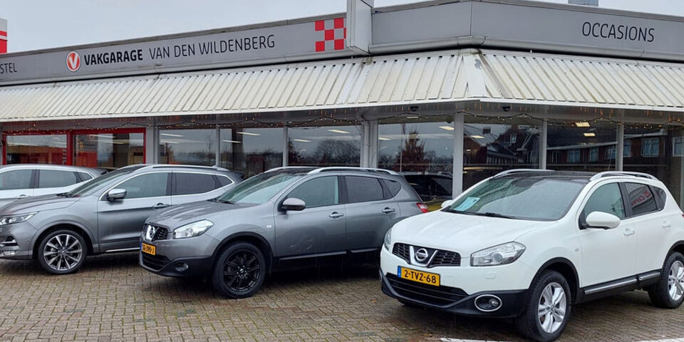 van den Wildenberg