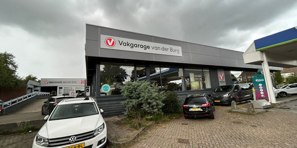 Van der Burg